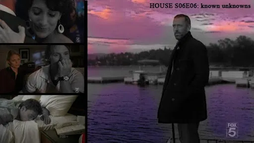 Collage de escenas de House con el rótulo «House S06E06: Known unknowns»